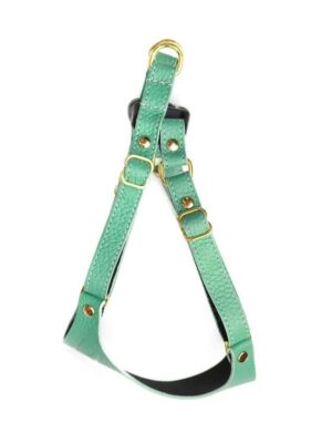 nala cat harness