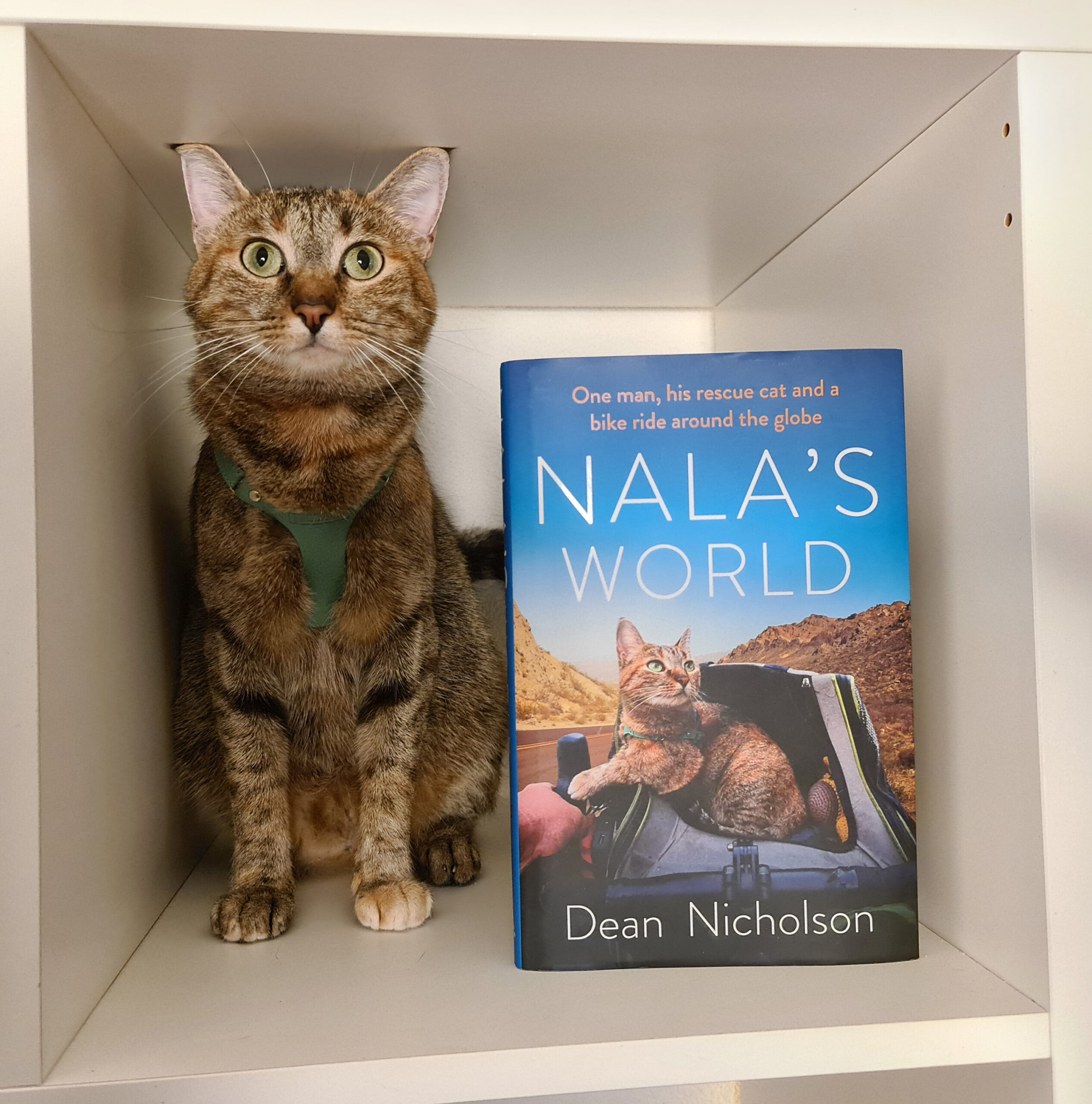 nala the cat book